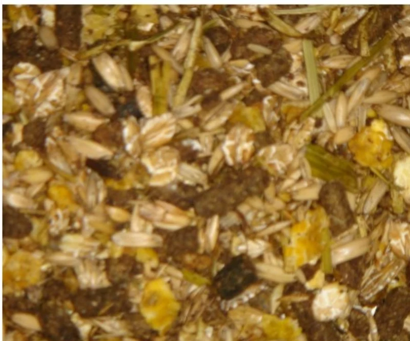 Mélange pour reproducteurs HippoX 20 kg - Deli Nature