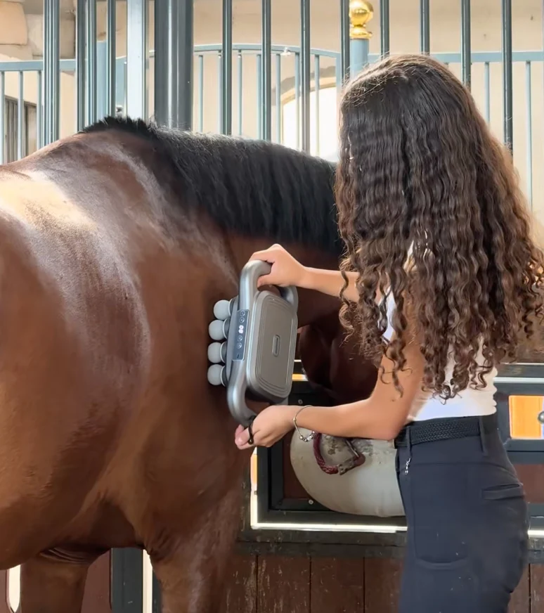 Masseur Equin à 8 têtes anti-contracture pour chevaux