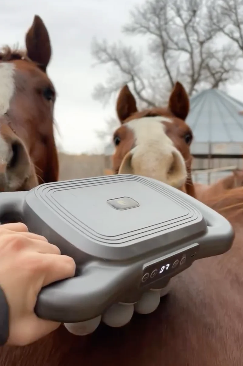 Masseur Equin à 8 têtes anti-contracture pour chevaux