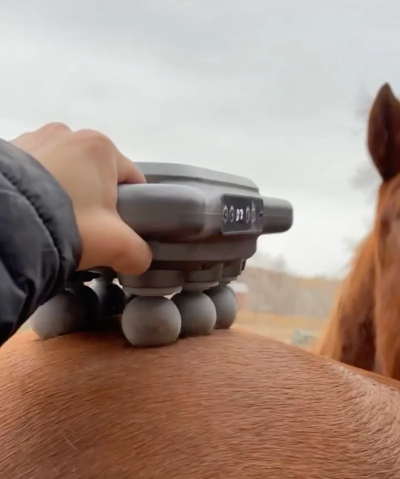 Masseur Equin à 8 têtes anti-contracture pour chevaux