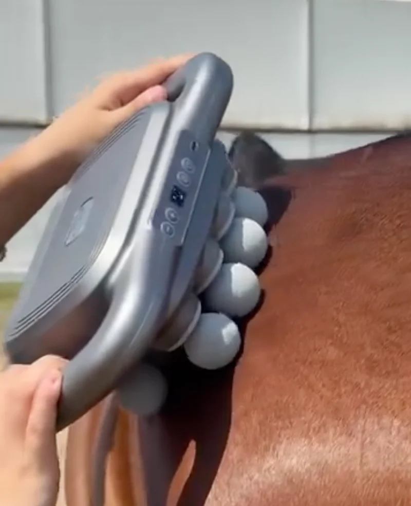 Masseur Equin à 8 têtes anti-contracture pour chevaux