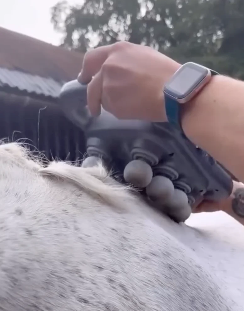 Masseur Equin à 8 têtes anti-contracture pour chevaux