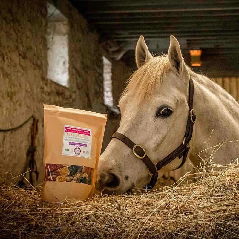 Friandise Cheval Bonbon Biscuit Crackers MIX 4 Recettes de Happy Crackers Bio