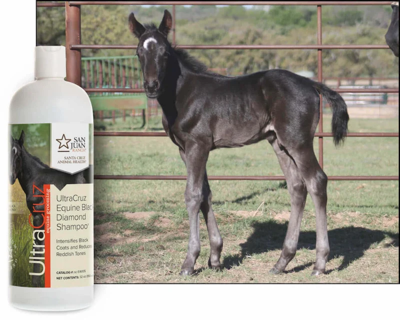 UltraCruz® Equine Black Diamond – Shampooing Cheval Robes Noires