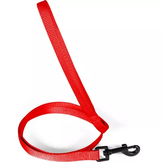 Laisse uni rouge 1.20 m - Chien