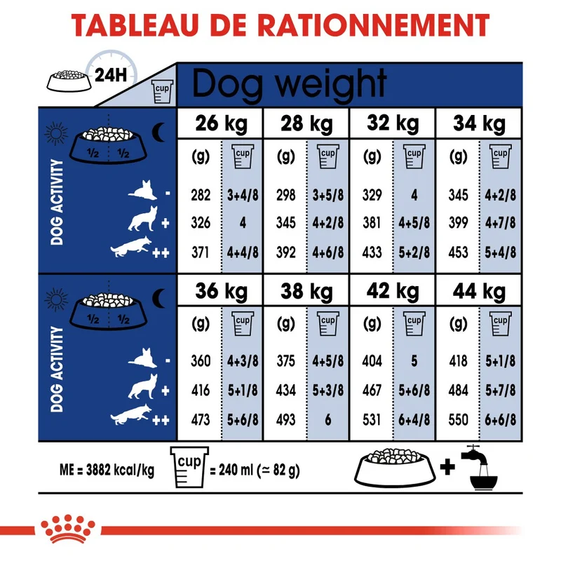 Royal Canin Maxi Ageing 8+ - Croquettes pour chien