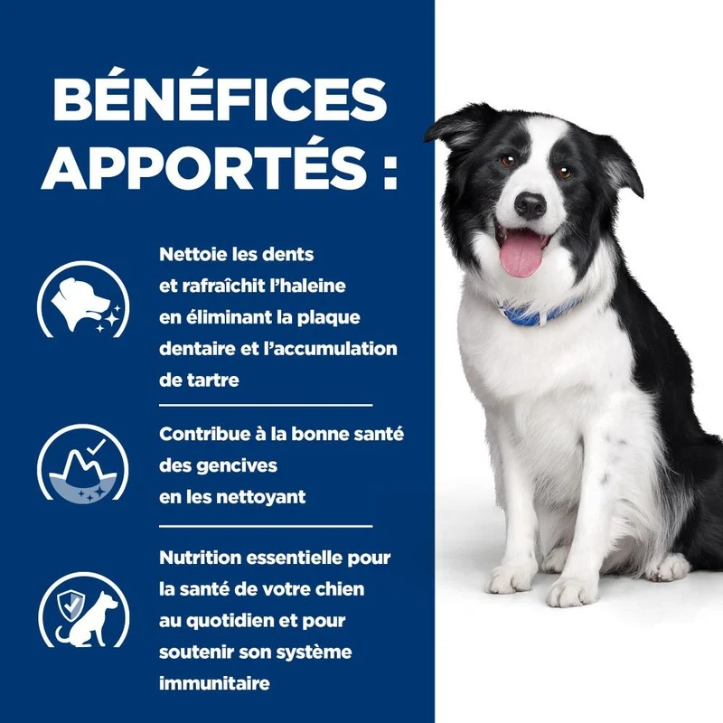 HILL'S Prescription Diet t/d Dental Care au Poulet - Croquettes pour chien