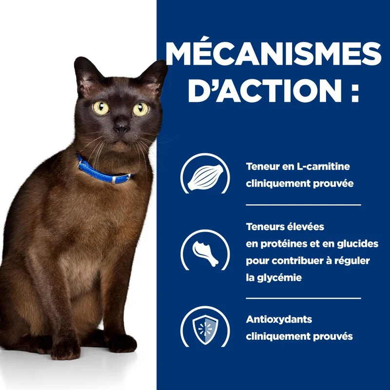 Hill's Prescription Diet m/d Diabetes Care au poulet - croquettes chat