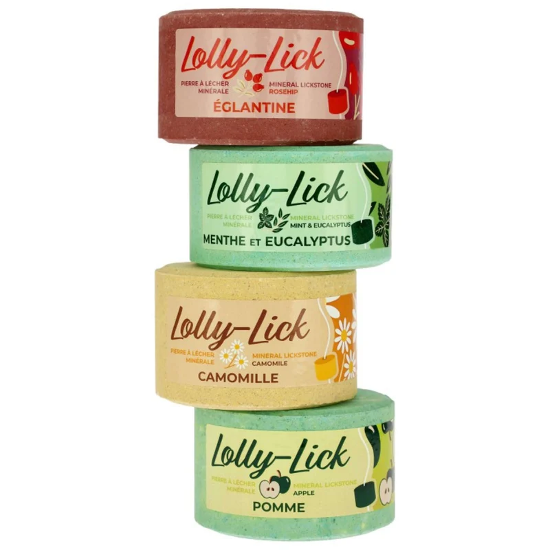 Hippotonic Lolly-Lick Églantier