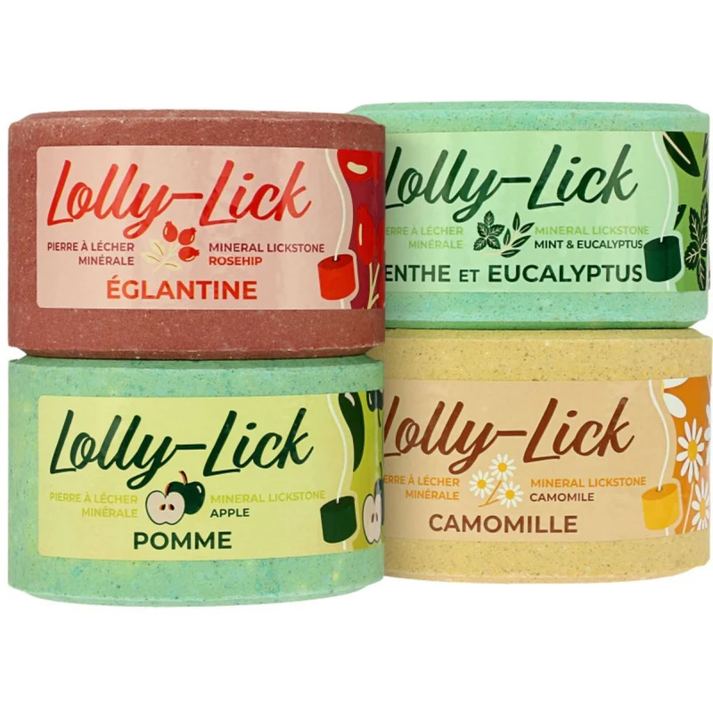 Hippotonic Lolly-Lick Églantier