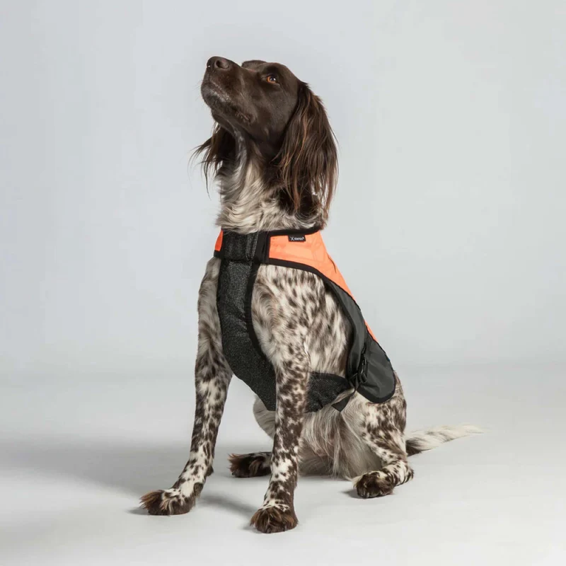 Back on Track Veste pour Chien TRAKK Réfléchissant Orange