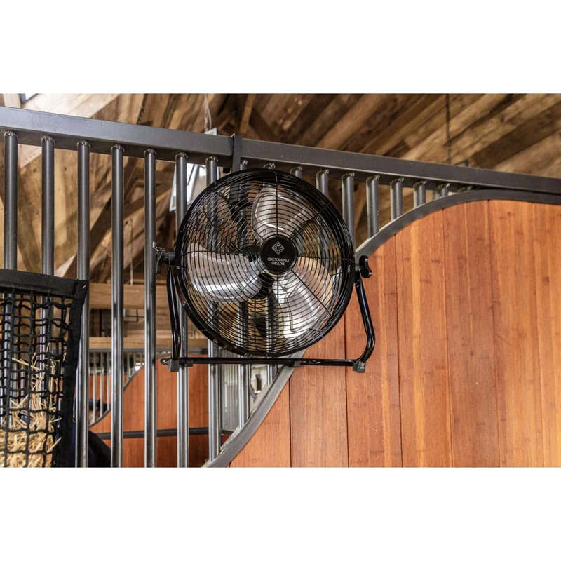 Kentucky Ventilateur sans fil avec Batterie et Chargeur Noir