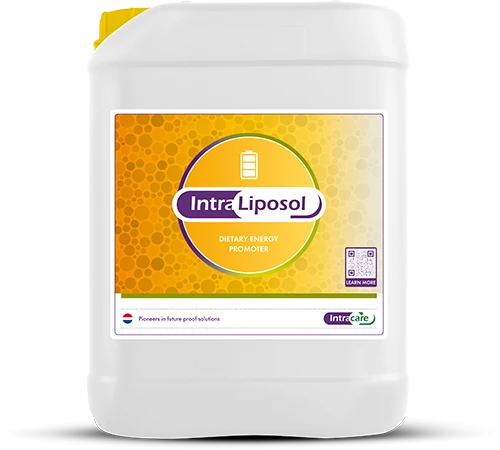 Intra Liposol 20 liter