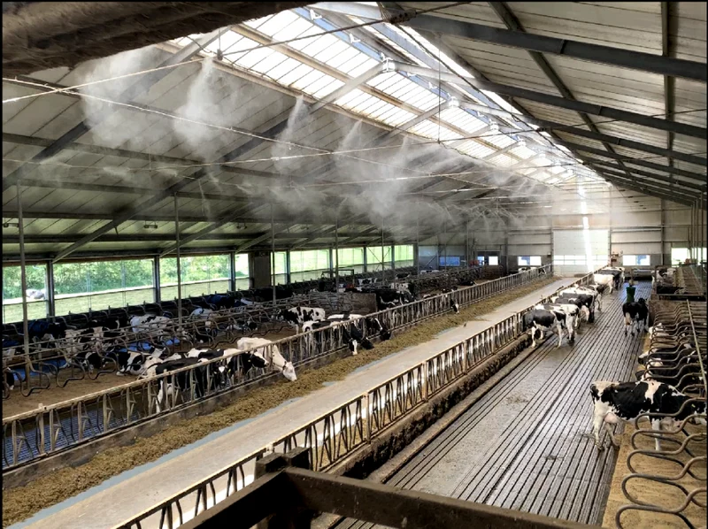 Volledige vernevelinstallatie op project basis