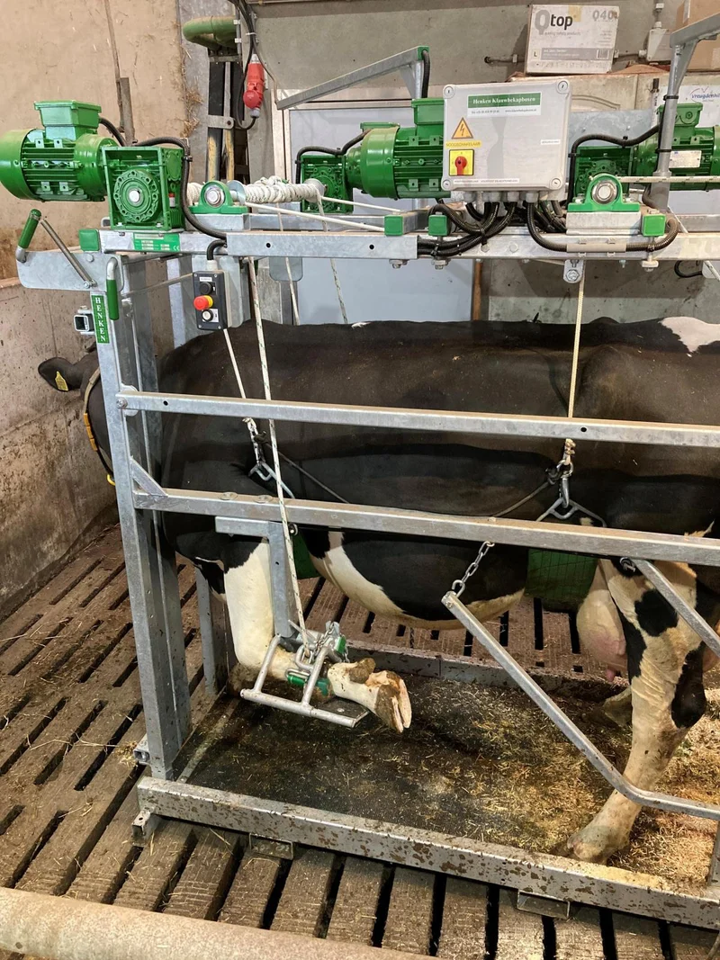 Klauwbekapbox type L profi 400v