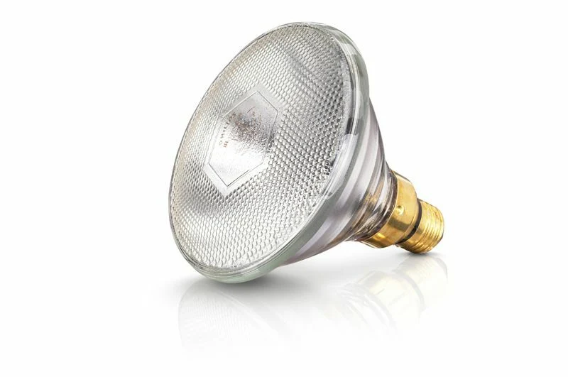Warmtelamp EB 100W Wit Phillips