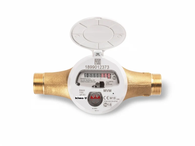 Maddalena MVM watermeter