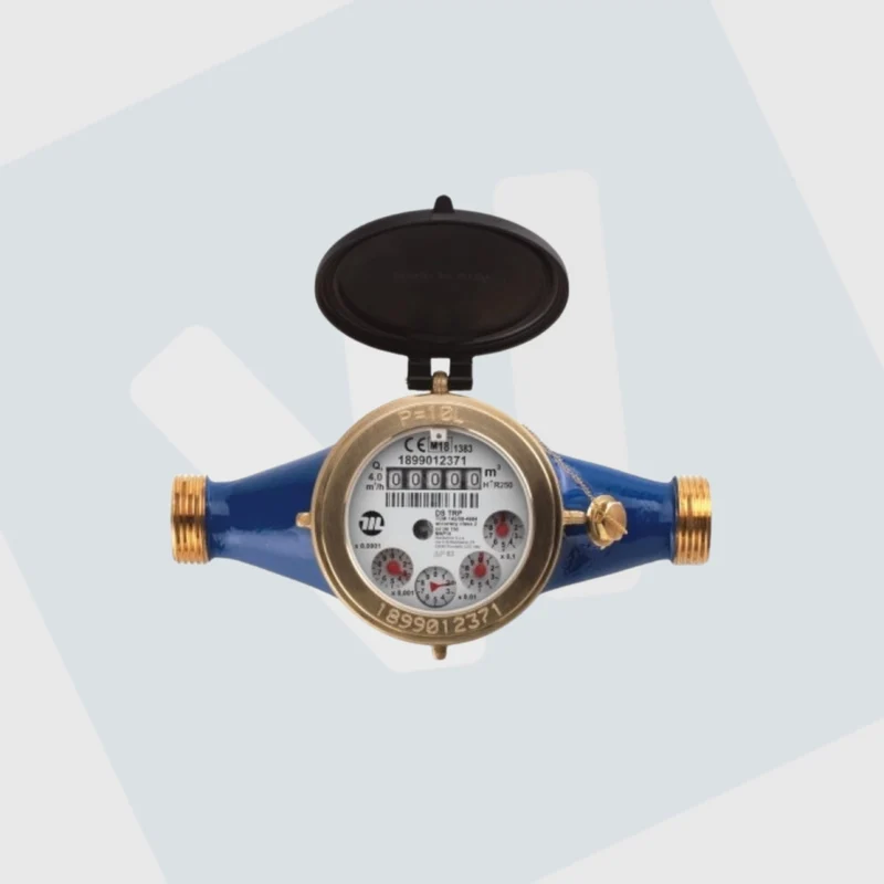 Maddalena DS watermeter