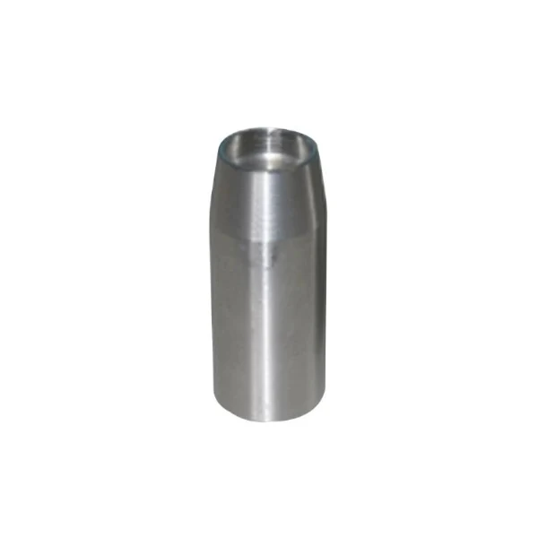 Vervangkop voor onthoornder - inox