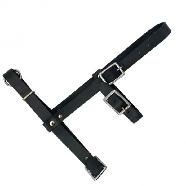 Ramhalster met extra keelband - zwart leder