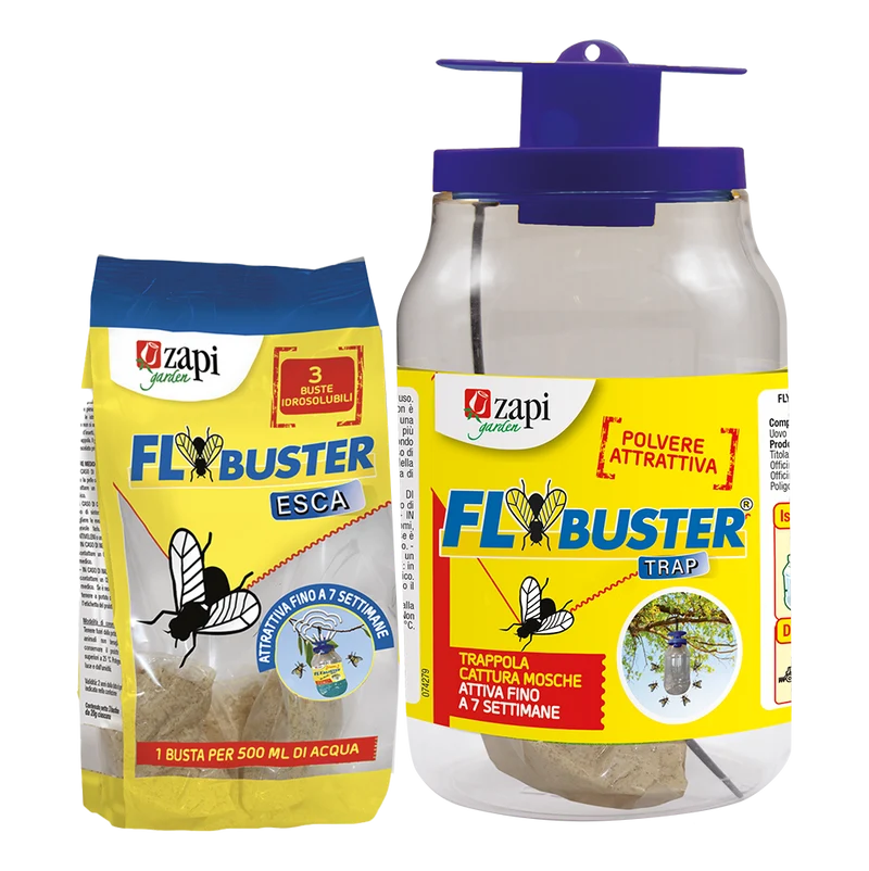 Trappola con esca attrattiva per mosche Zapi Flybuster Trap trappola + esca 20 g