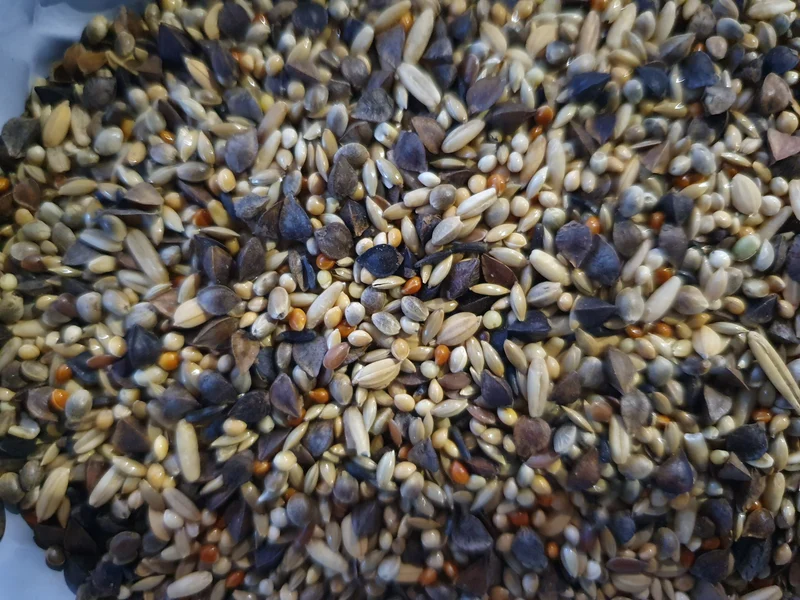 Deli Nature 71 Premium Agapornis 5kg (auto-emballé)