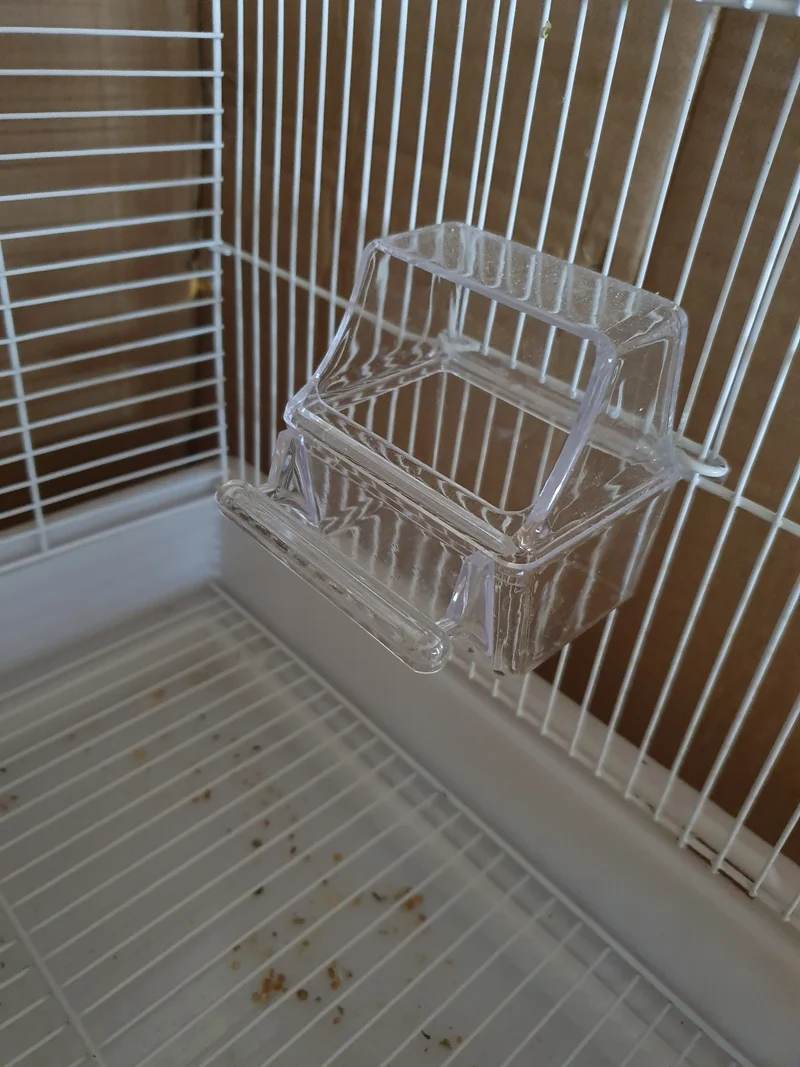 Cage à oiseaux Type 2