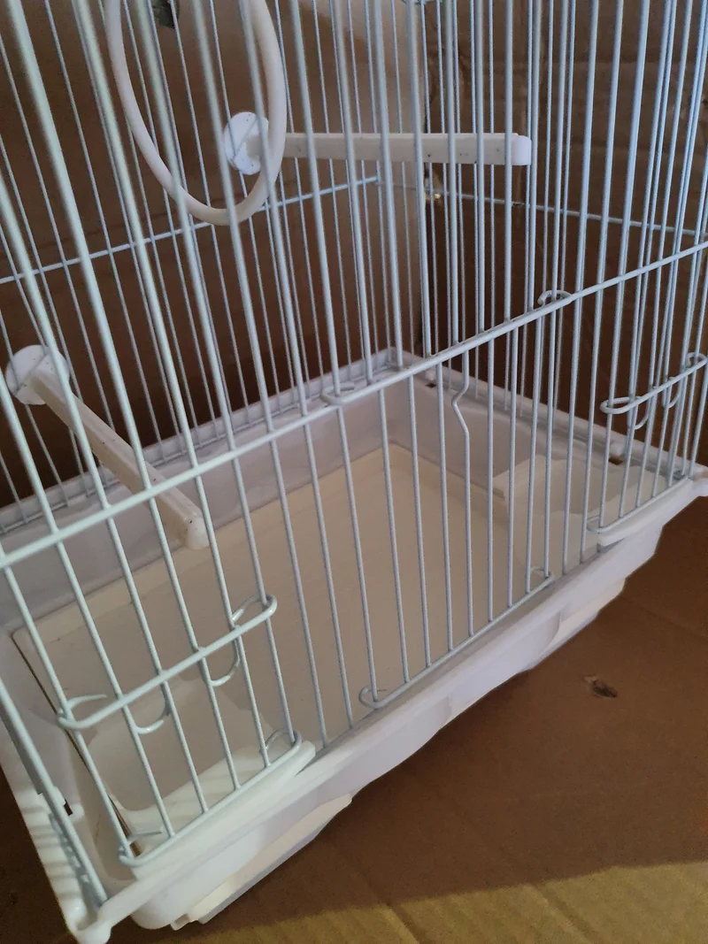 Cage à oiseaux type 5B101