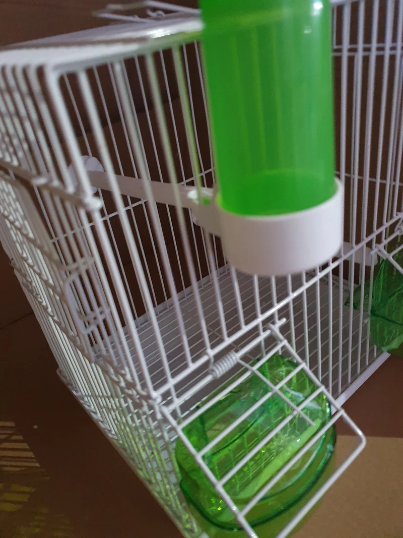 Cage de transport / Cage chantante verte