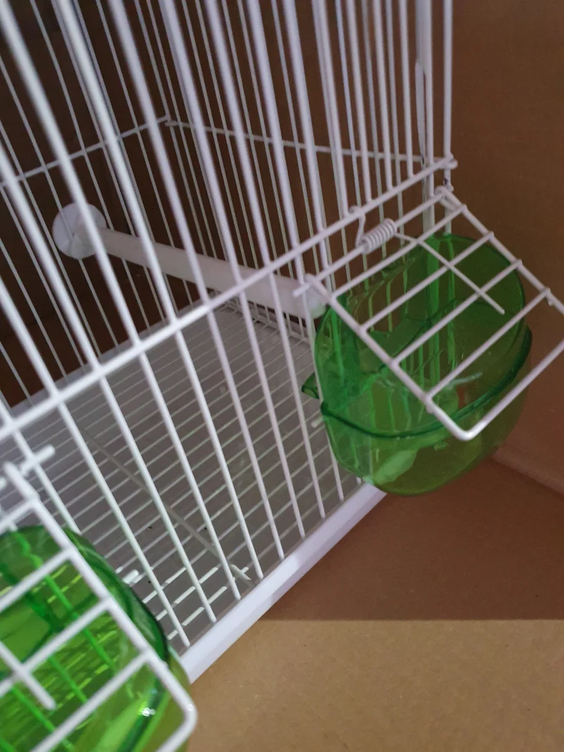 Cage de transport / Cage chantante verte