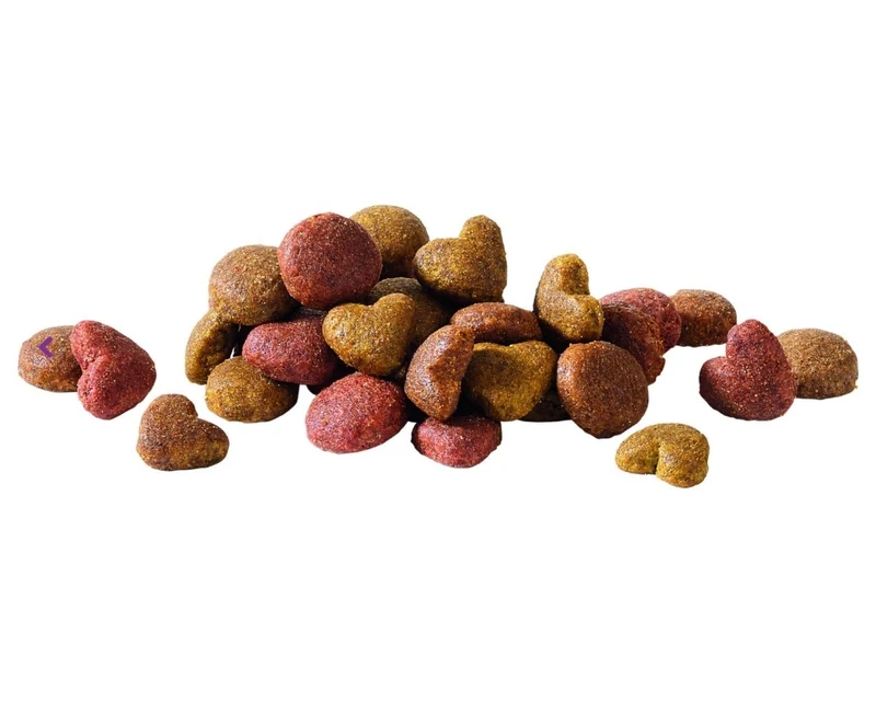 Happy Life Adult Saumon Croquettes pour chien 2.5 kg - Versele Laga