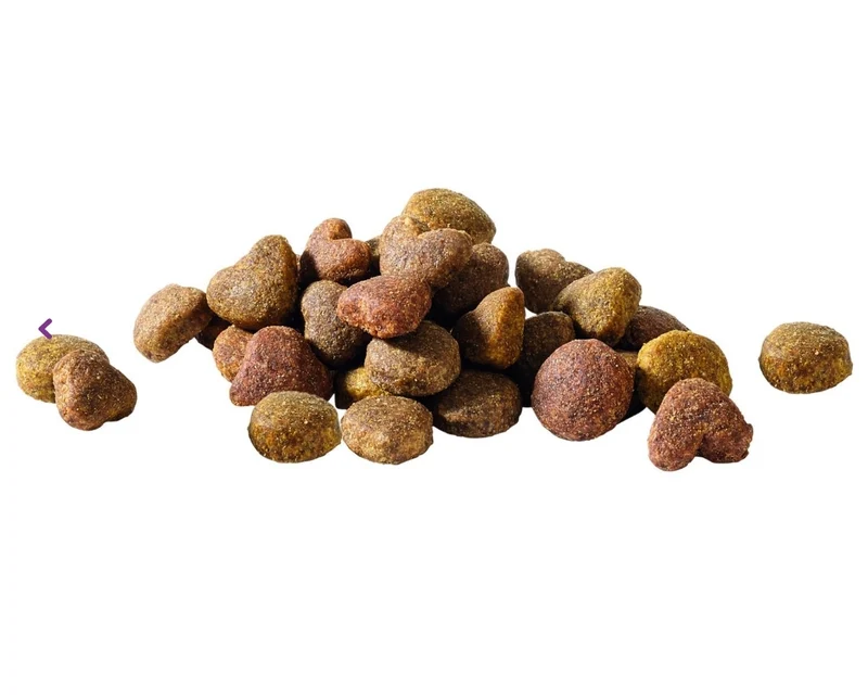 Happy Life Croquettes pour chien au poulet adulte 2.5 kg - Versele Laga