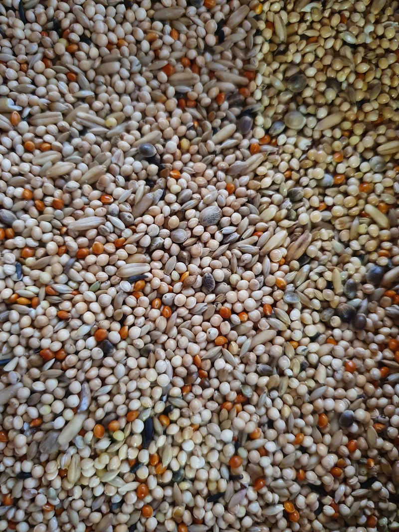 Mélange Qualité Perruches 1kg