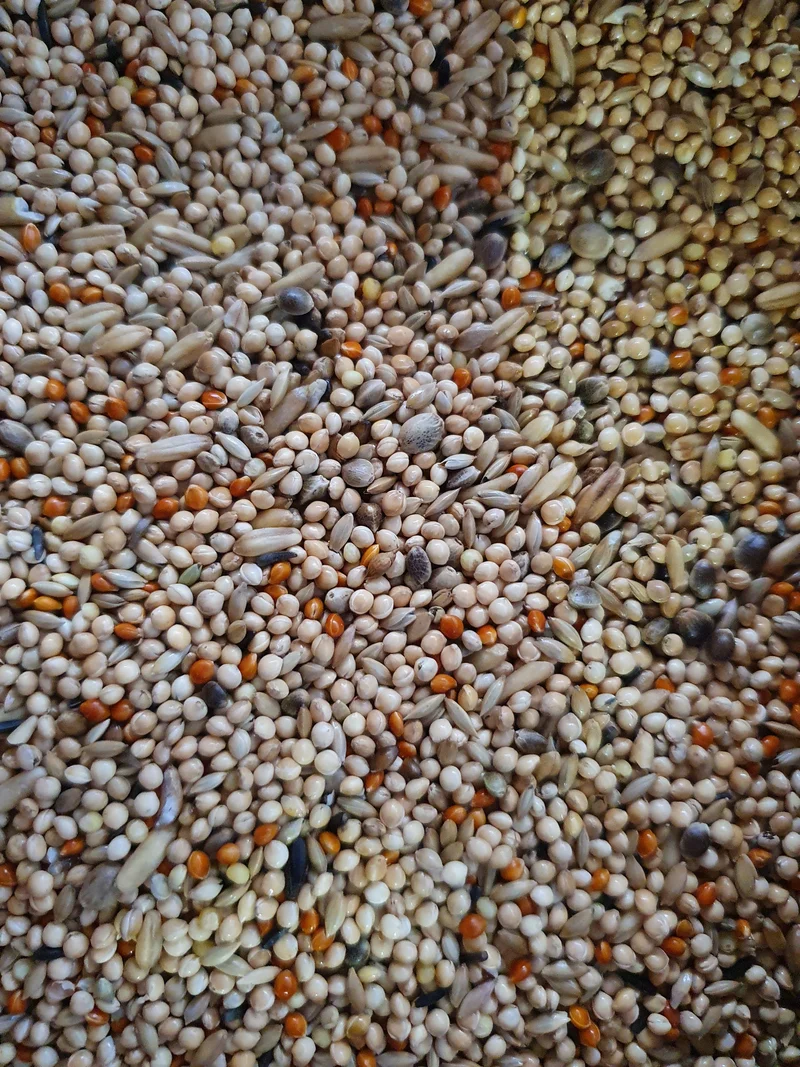Mélange Qualité Perruches 5kg