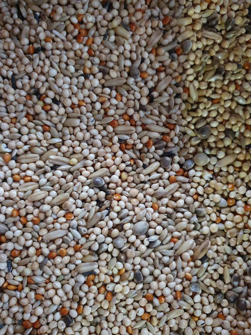 Mélange Qualité Perruches 5kg