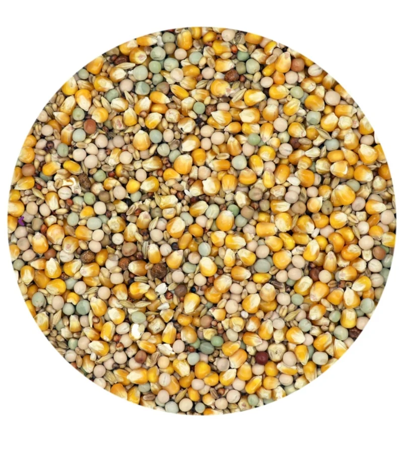 Classic 4 Seasons - Nourriture pour pigeons - 20 kg - Versele-Laga