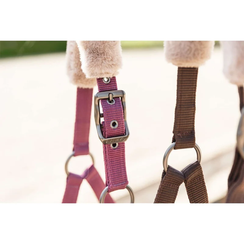 ANKY Ensemble Licol Check Velvet ATH25002 Mellow Mauve