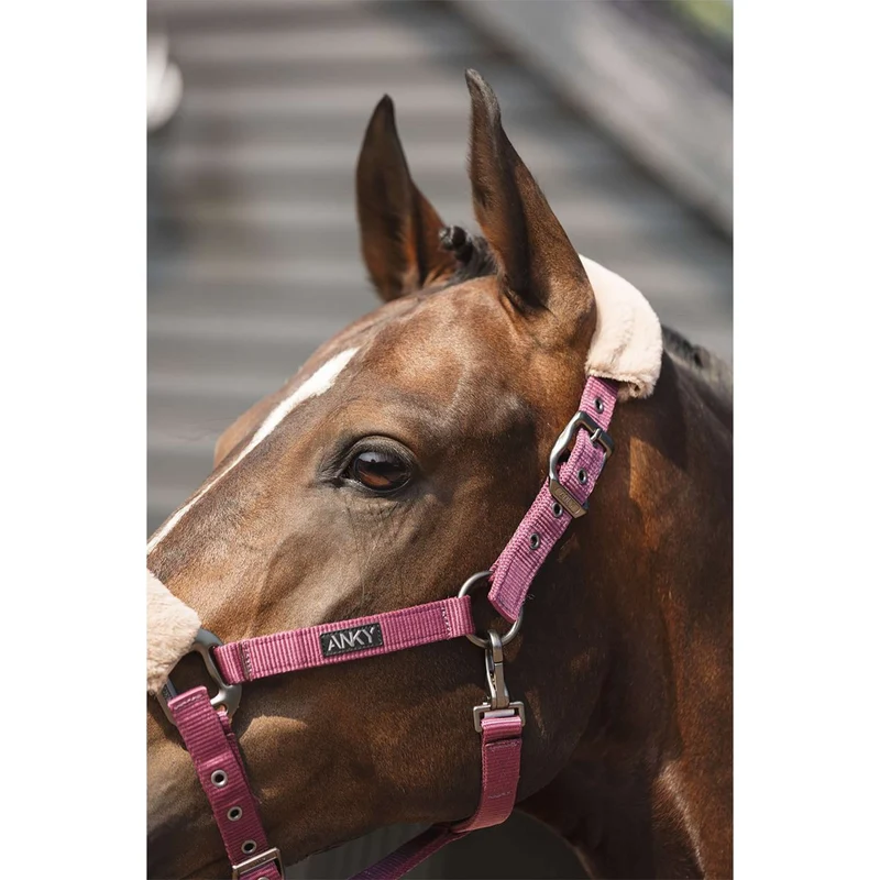 ANKY Ensemble Licol Check Velvet ATH25002 Mellow Mauve