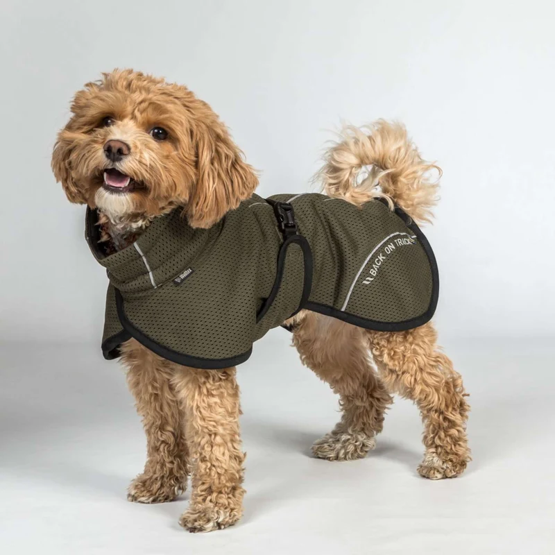 Back on Track Veste pour Chien BAY Mesh Olive