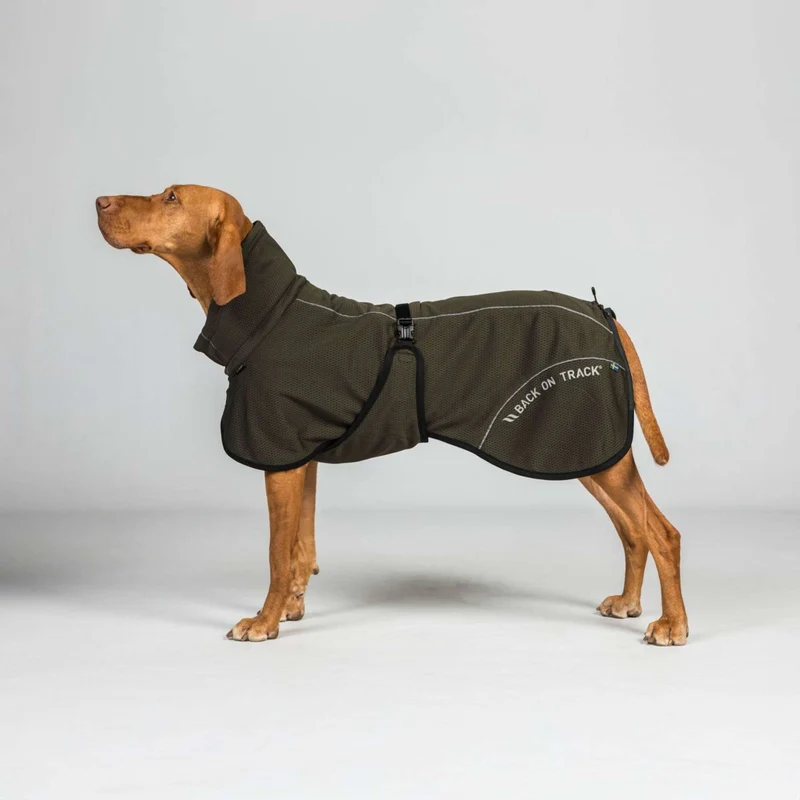 Back on Track Veste pour Chien BAY Mesh Olive