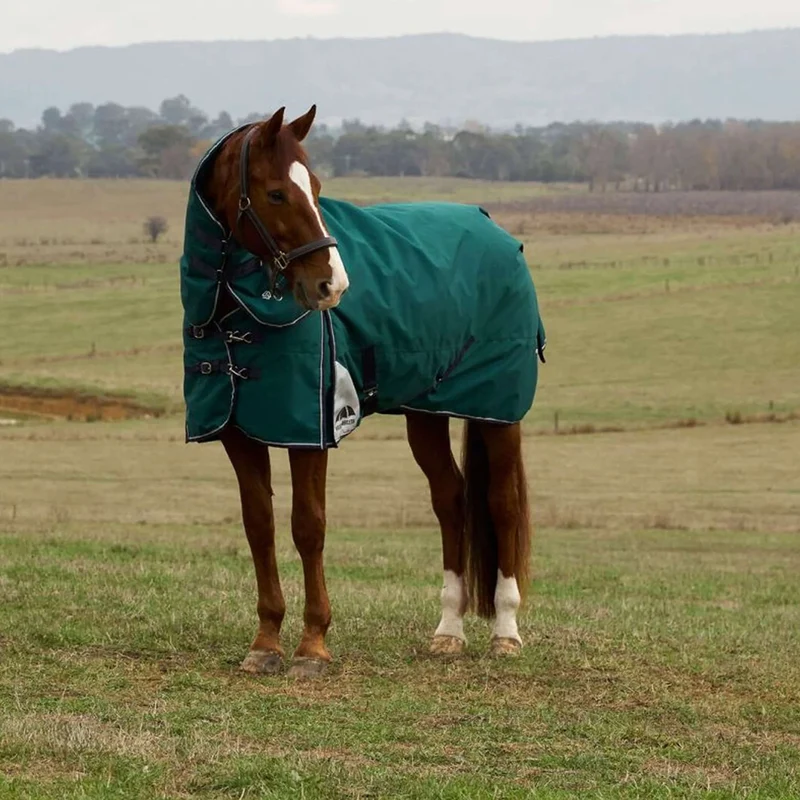 WeatherBeeta ComFiTec Plus Dynamic Turnout Detach-A-Neck 220g Forest Green/Navy