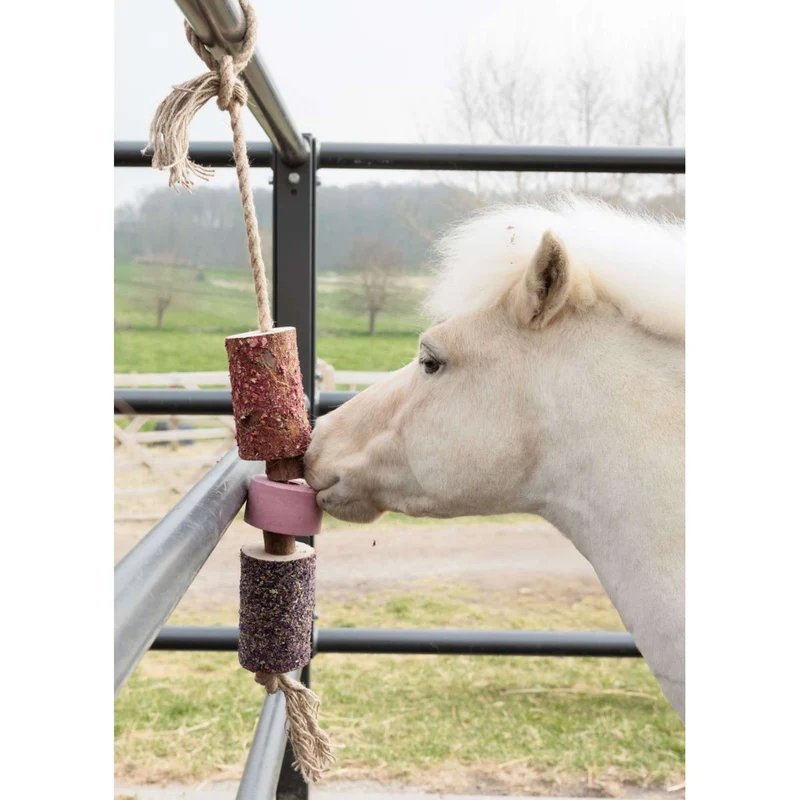 Grooming Deluxe by Kentucky Relax Horse Toy Wooden Sammy with Salt Lick