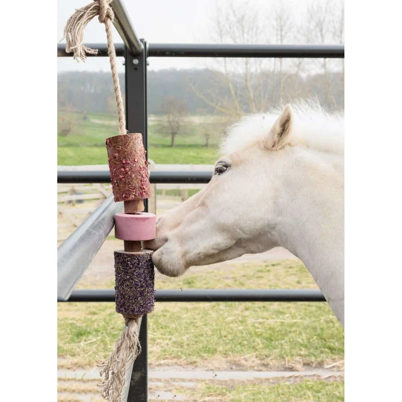 Grooming Deluxe by Kentucky Relax Horse Toy Wooden Sammy with Salt Lick