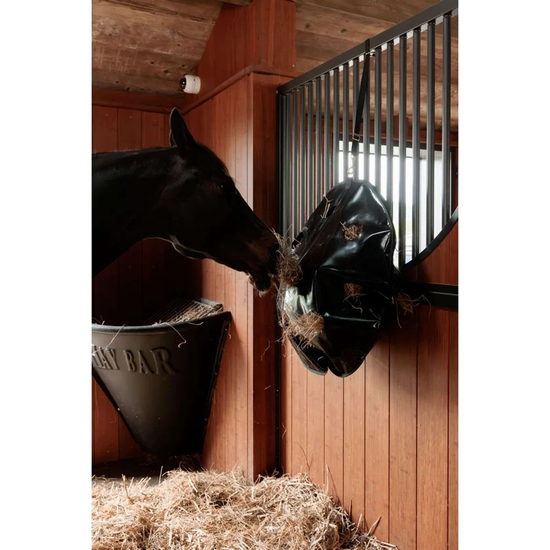 Grooming Deluxe by Kentucky Filet Anti-Glouton Play & Haybag Round