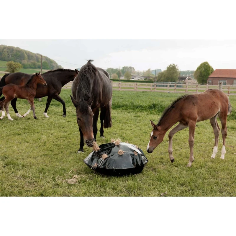 Grooming Deluxe by Kentucky Filet Anti-Glouton Play & Haybag Round