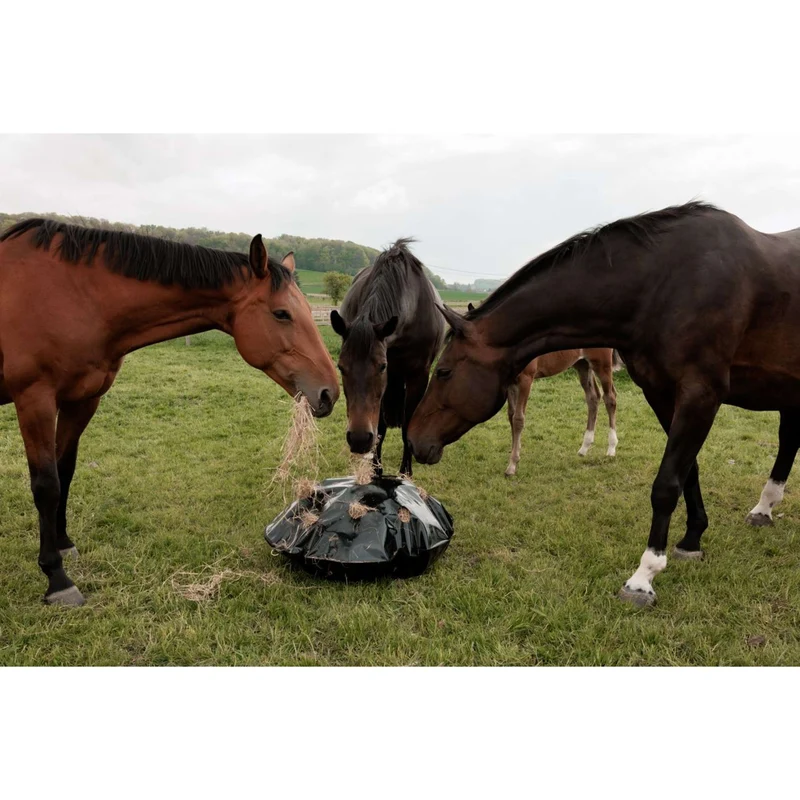 Grooming Deluxe by Kentucky Filet Anti-Glouton Play & Haybag Round