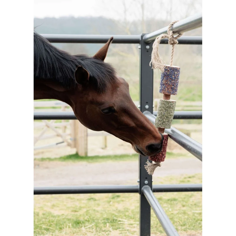 Grooming Deluxe by Kentucky Relax Horse Toy Wooden Freedom