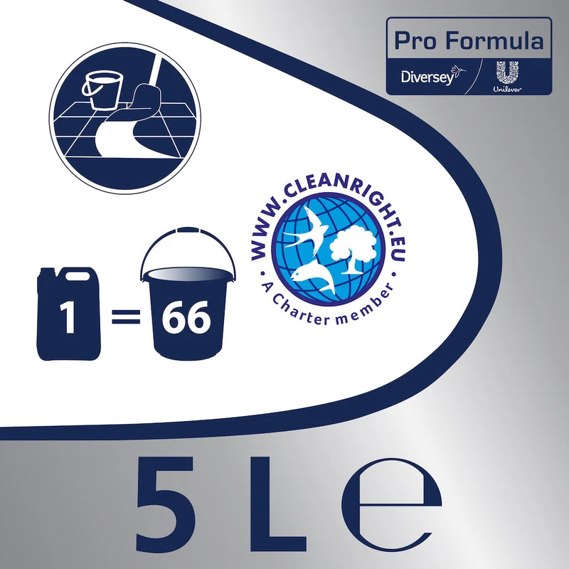 Detergente per pulizia superfici in legno Cif Detergente per Legno 5L