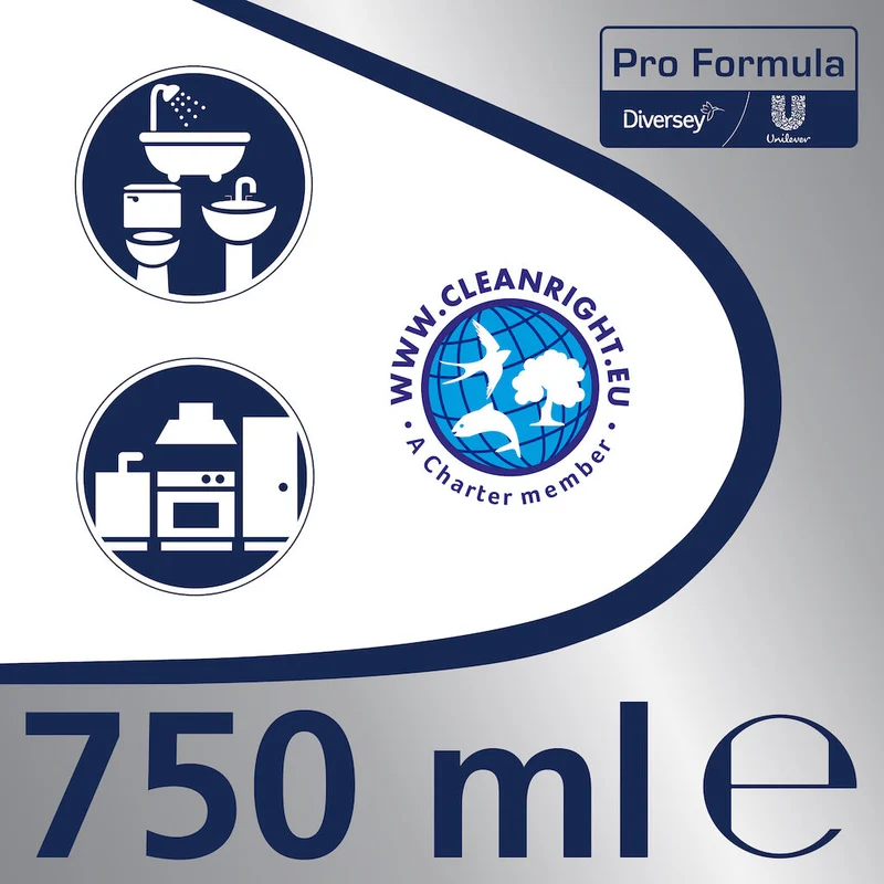Detergente per pulizia fughe piastrelle Diversey Domestos Gel per Fughe 6X750 ml