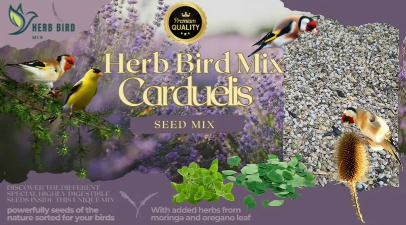 Mélange de graines de carduelis 2,5 kg - Mélange d'herbes pour oiseaux